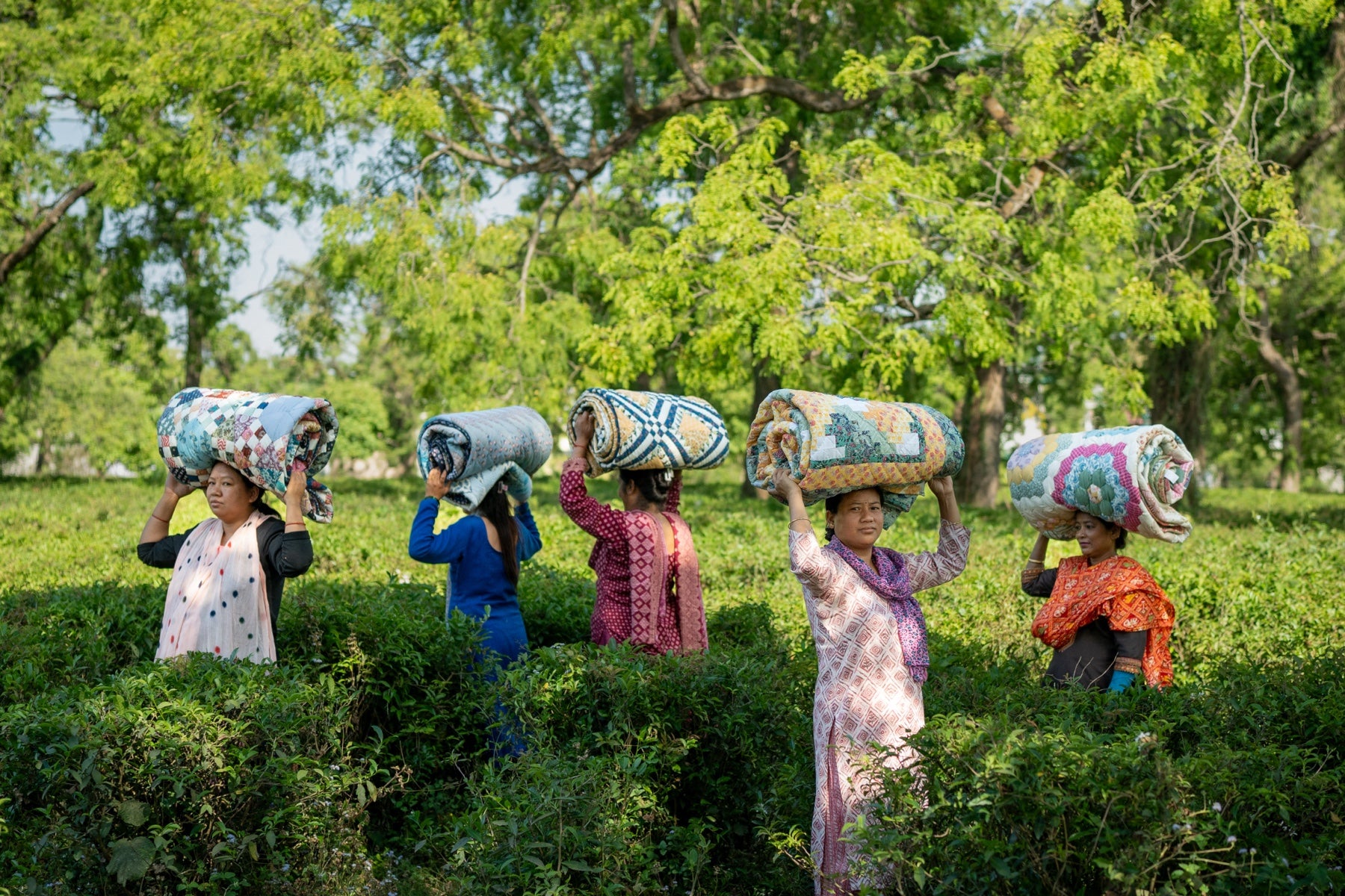 Five Purkal Didis walking through a tea garden with rolled patchwork quilts balanced on their heads